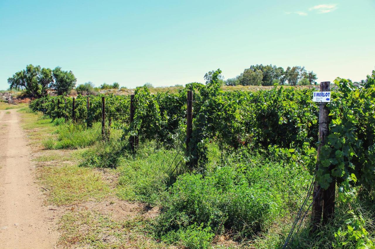 Bezalel Wine & Brandy Estate Villa Kanoneiland ภายนอก รูปภาพ