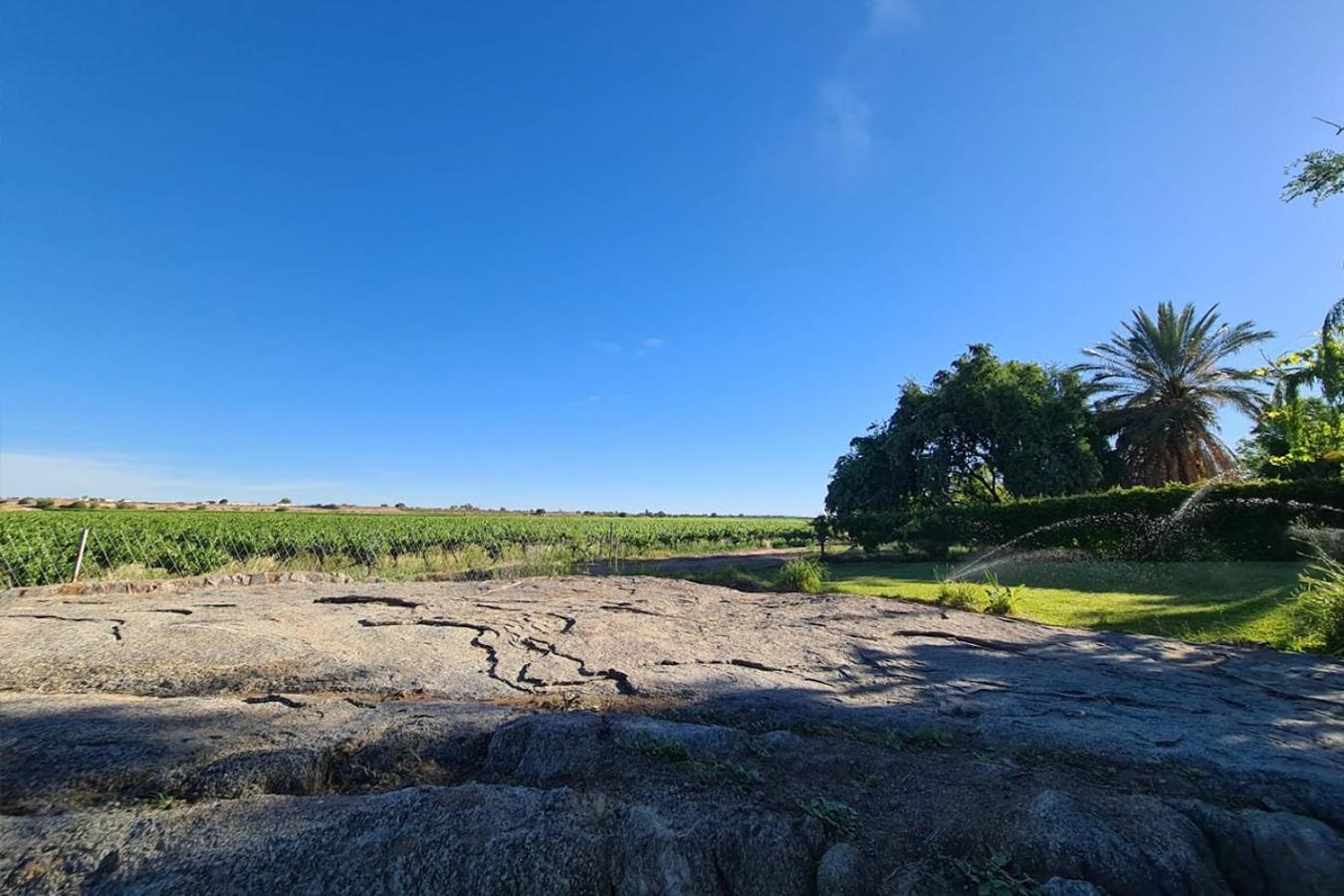 Bezalel Wine & Brandy Estate Villa Kanoneiland ภายนอก รูปภาพ